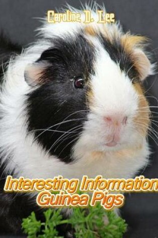 Cover of Interesting Information Guinea Pigs