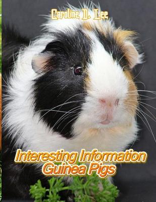 Book cover for Interesting Information Guinea Pigs