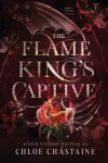 Book cover for The Flame King's Captive