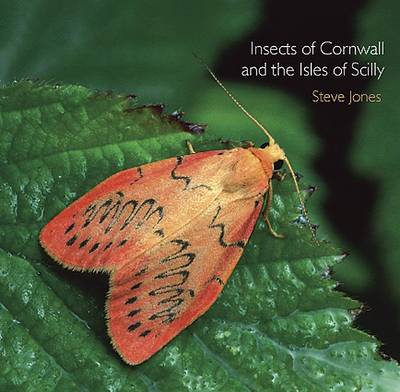 Book cover for Insects of Cornwall and the Isles of Scilly