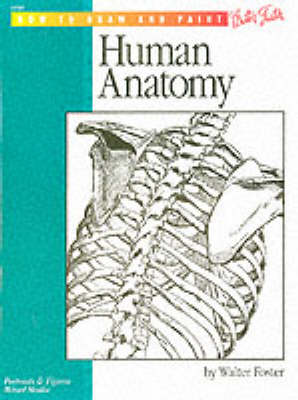 Book cover for Anatomy