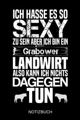 Book cover for Ich hasse es so sexy zu sein aber ich bin ein Grabower Landwirt also kann ich nichts dagegen tun