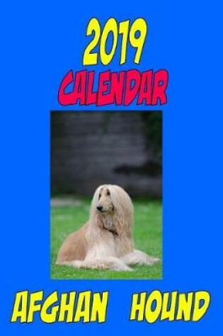 Cover of 2019 Calendar Afghan Hound