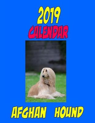 Book cover for 2019 Calendar Afghan Hound