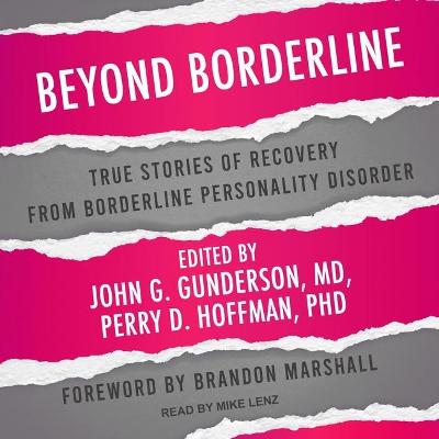 Book cover for Beyond Borderline