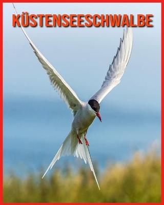 Book cover for Küstenseeschwalbe