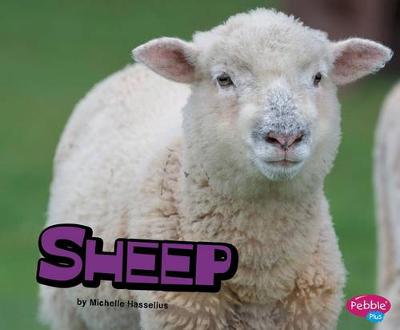 Cover of Sheep