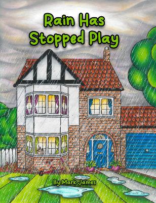 Book cover for Rain has stopped play