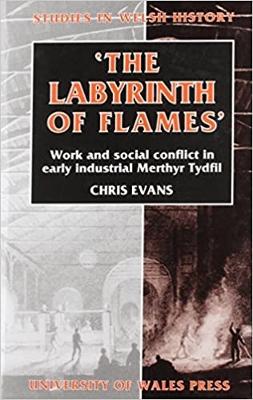 Book cover for The Labyrinth of Flames