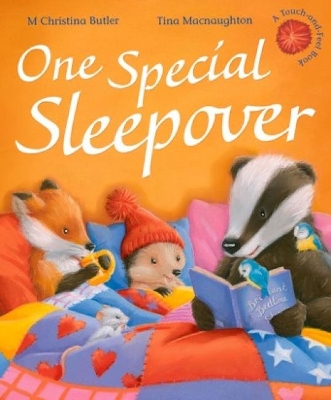 Book cover for One Special Sleepover