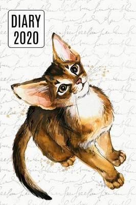 Book cover for 2020 Daily Diary Planner, Watercolor Abyssinian Cat