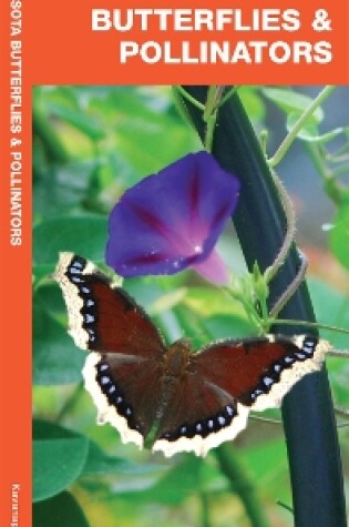 Cover of Minnesota Butterflies & Pollinators