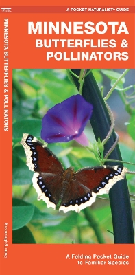 Book cover for Minnesota Butterflies & Pollinators