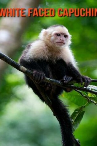 Cover of White Faced Capuchin