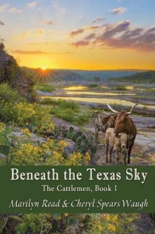 Cover of Beneath the Texas Sky