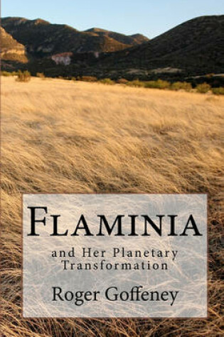 Cover of Flaminia