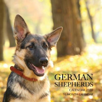 Book cover for German Shepherds Calendar 2020