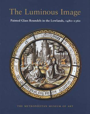 Book cover for The Luminous Image