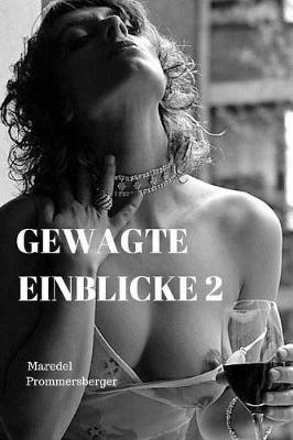 Book cover for Gewagte Einblicke 2