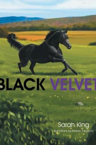 Cover of Black Velvet