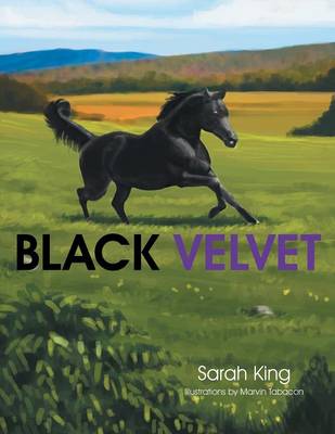 Book cover for Black Velvet