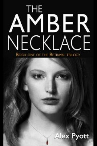 Cover of The Amber Necklace