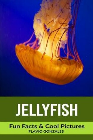 Cover of Jellyfish