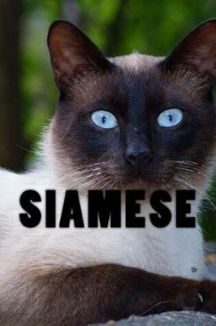 Cover of Siamese