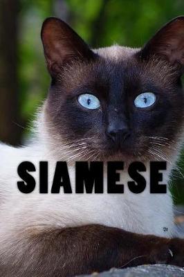 Book cover for Siamese