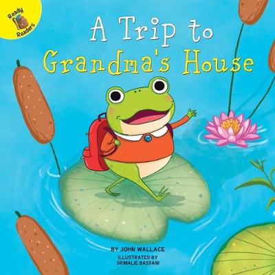Book cover for A Trip to Grandma's House