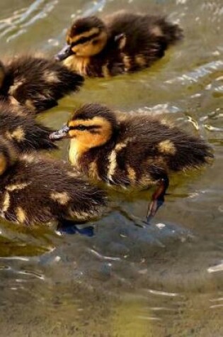 Cover of Cute Baby Ducks Notebook