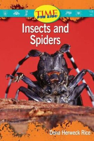 Cover of Insects and Spiders