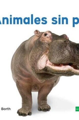 Cover of Animales Sin Pelo (Hairless Animals ) (Spanish Version)