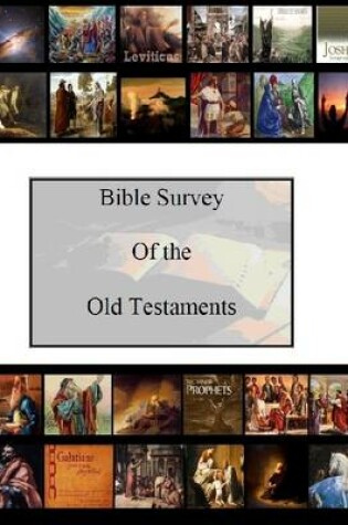 Cover of Bible Survey of the Old Testament