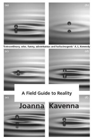 Cover of A Field Guide to Reality