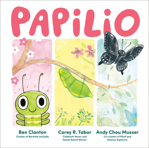 Book cover for Papilio