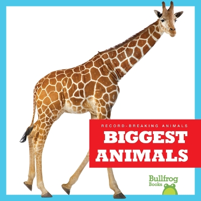 Book cover for Biggest Animals