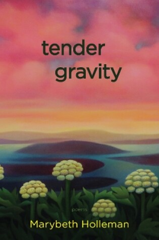 Cover of tender gravity