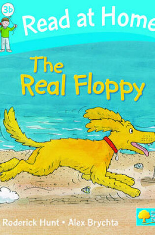 Cover of Read at Home: Level 3b: The Real Floppy