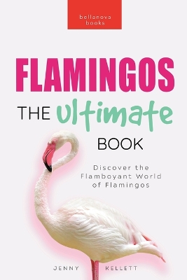 Cover of Flamingos