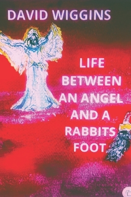 Book cover for Life Between an Angel and a Rabbits Foot