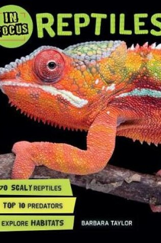 Cover of In Focus: Reptiles
