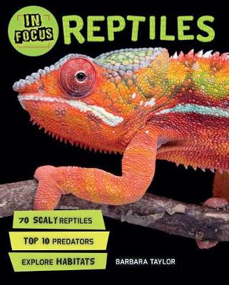 Cover of In Focus: Reptiles