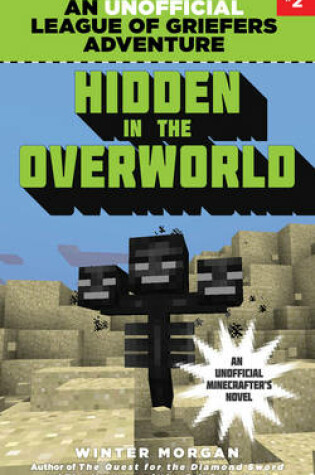 Cover of Hidden in the Overworld