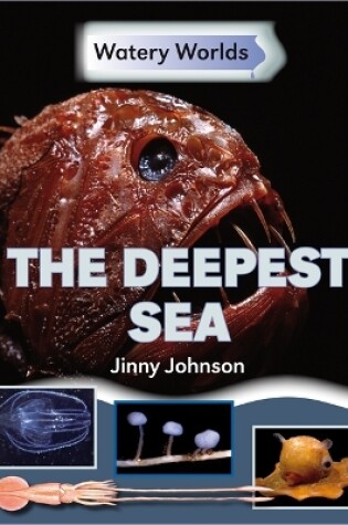 Cover of Watery Worlds: The Deepest Sea