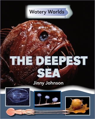 Book cover for Watery Worlds: The Deepest Sea