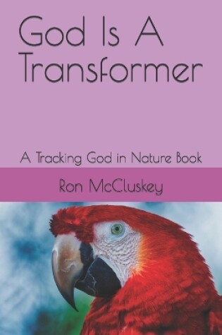 Cover of God Is A Transformer