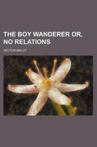Cover of The Boy Wanderer Or, No Relations