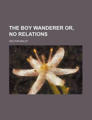 Book cover for The Boy Wanderer Or, No Relations