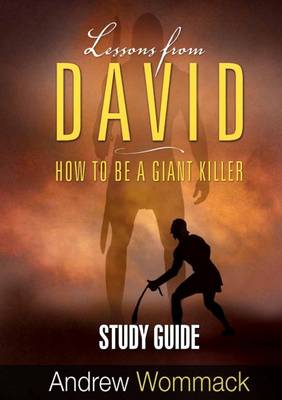 Book cover for Lessons from David